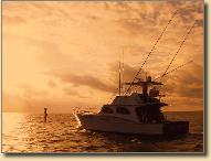 Video Story about Ocean Reef